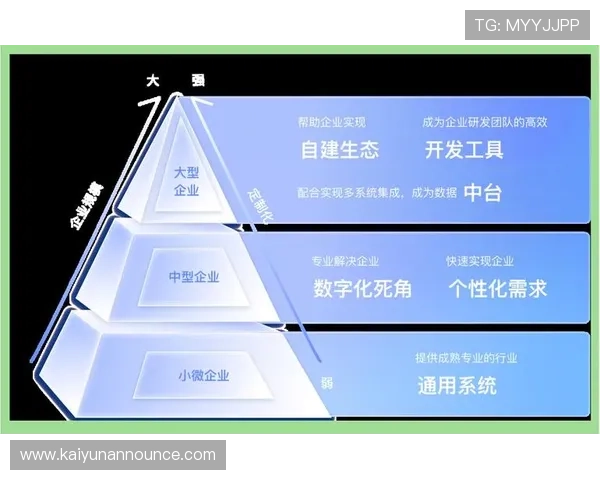 开云平台：实现品牌数字化转型的创新解决方案
