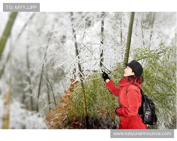 开云体育app官方下载常见问题解答，帮助用户顺利使用平台